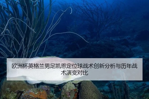欧洲杯英格兰男足凯恩定位球战术创新分析与历年战术演变对比
