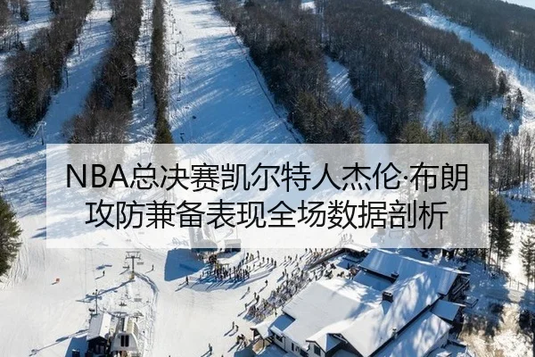 NBA总决赛凯尔特人杰伦·布朗攻防兼备表现全场数据剖析